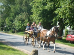 gyermek2015_80_20210412